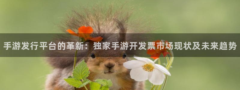 长运娱乐官网结果查询：手游发行平台的革新：独家手游开发票市场
