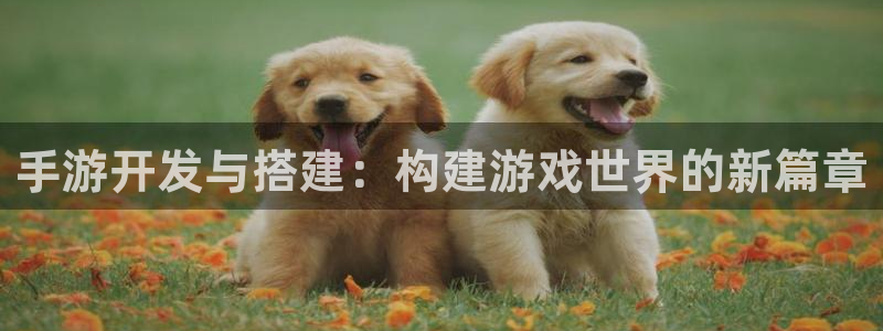 长运娱乐官网云集预测网：手游开发与搭建：构建游戏世界的新篇章