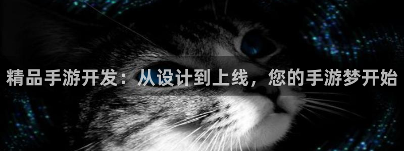 下载长运娱乐官网官方开奖app：精品手游开发：从设计到上线，