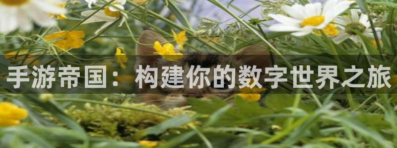 长运娱乐官网高手论坛最简单方法：手游帝国：构建你的数字世界之
