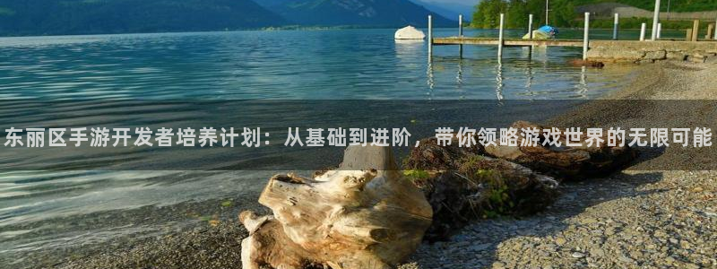 长运娱乐官网ios下载：东丽区手游开发者培养计划：从基础到进
