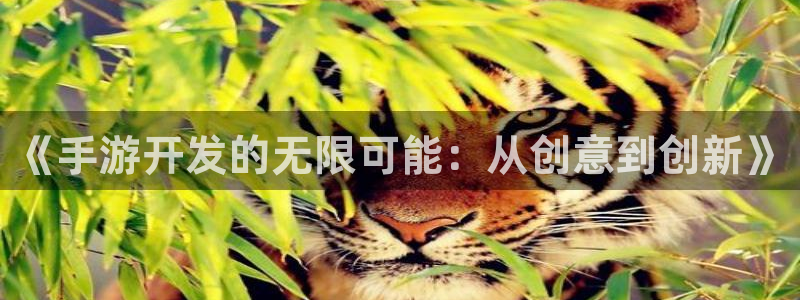 长运娱乐官网开奖记录：《手游开发的无限可能：从创意到创新》