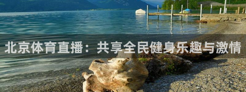 柠檬直播足球：北京体育直播：共享全民健身乐趣与激情