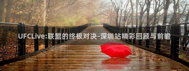 柠檬足球现场直播：UFCLive:联盟的终极对决-深圳站精彩回顾与前瞻