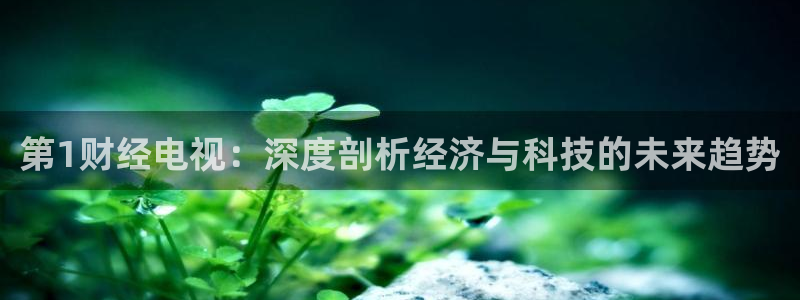 柠檬直播 篮球：第1财经电视：深度剖析经济与科技的未来趋势