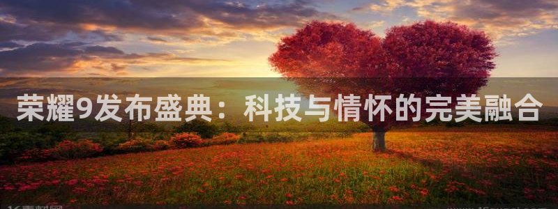 柠檬足球直播在线观看：荣耀9发布盛典：科技与情怀的完美融合