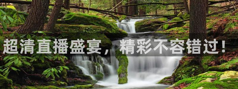 柠檬直播：超清直播盛宴，精彩不容错过！