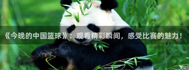 柠檬直播吧足球：《今晚的中国篮球》：观看精彩瞬间，感受比赛的魅力！
